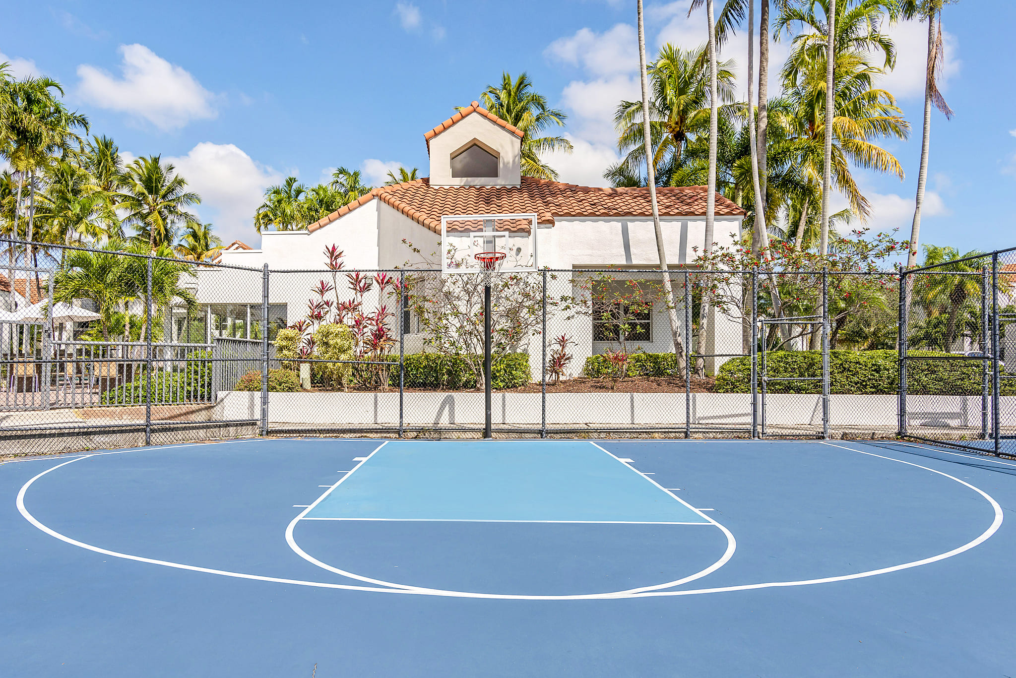 Basketball Court