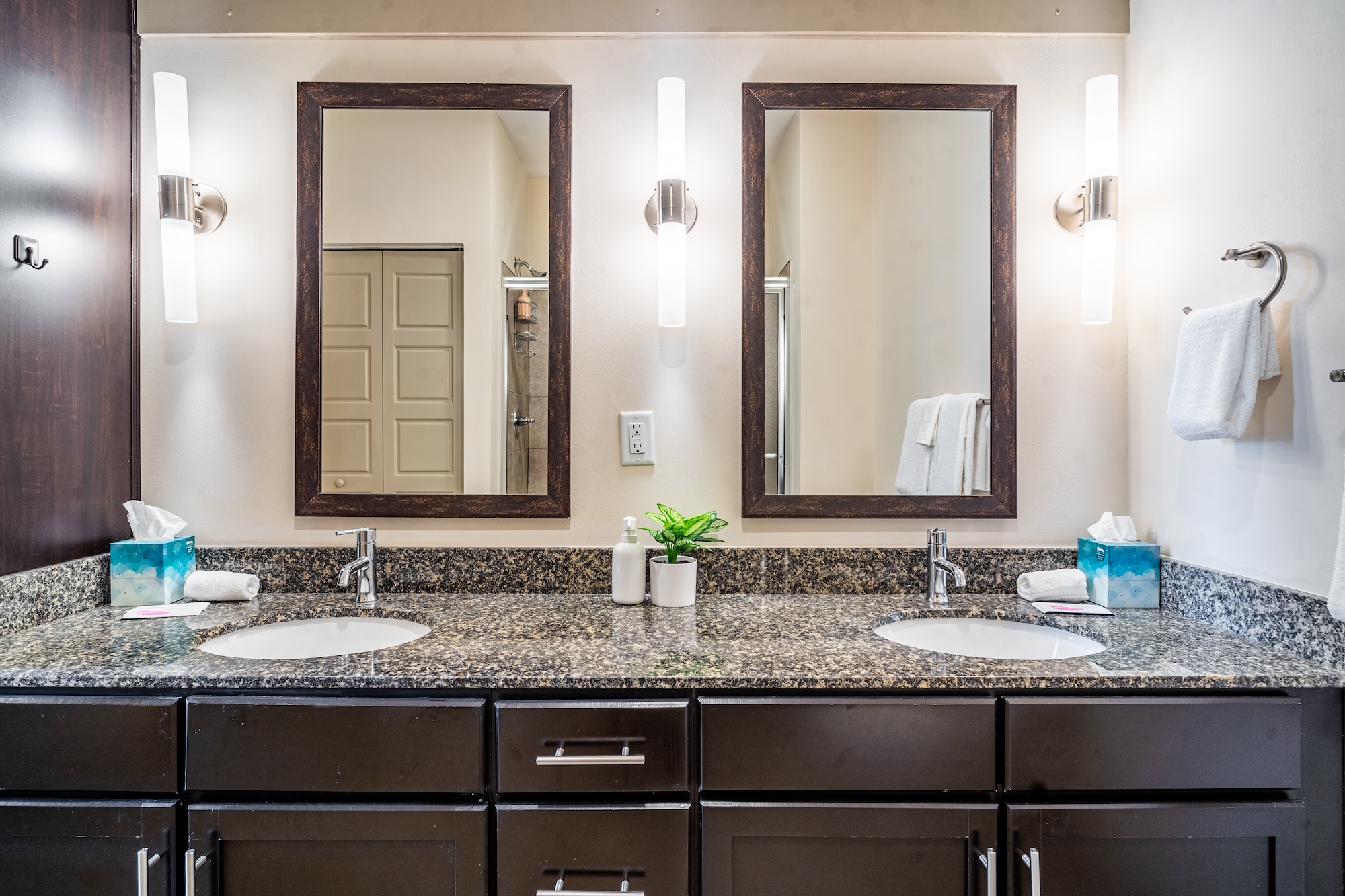 Bathroom Vanity