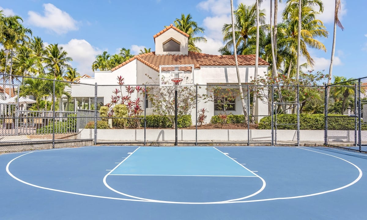 Basketball Court