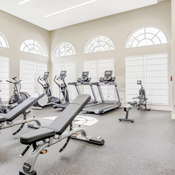 A well-equipped gym with treadmills, exercise bikes, and a weight bench.