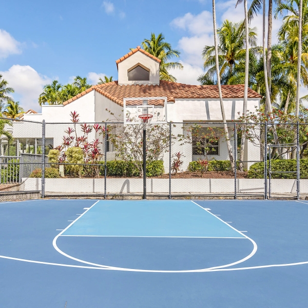 Basketball Court