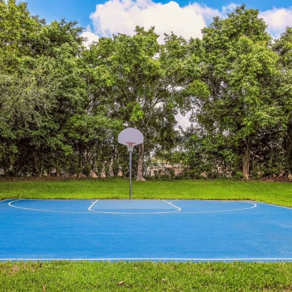 basketball Court