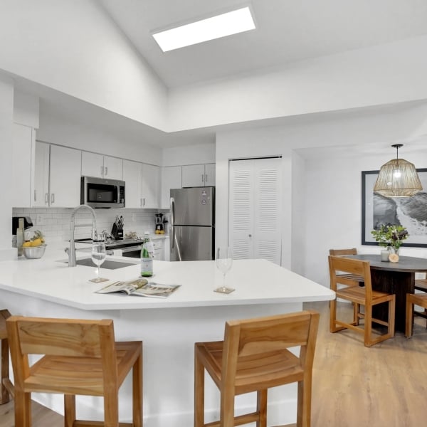 Kitchen and Dining Room